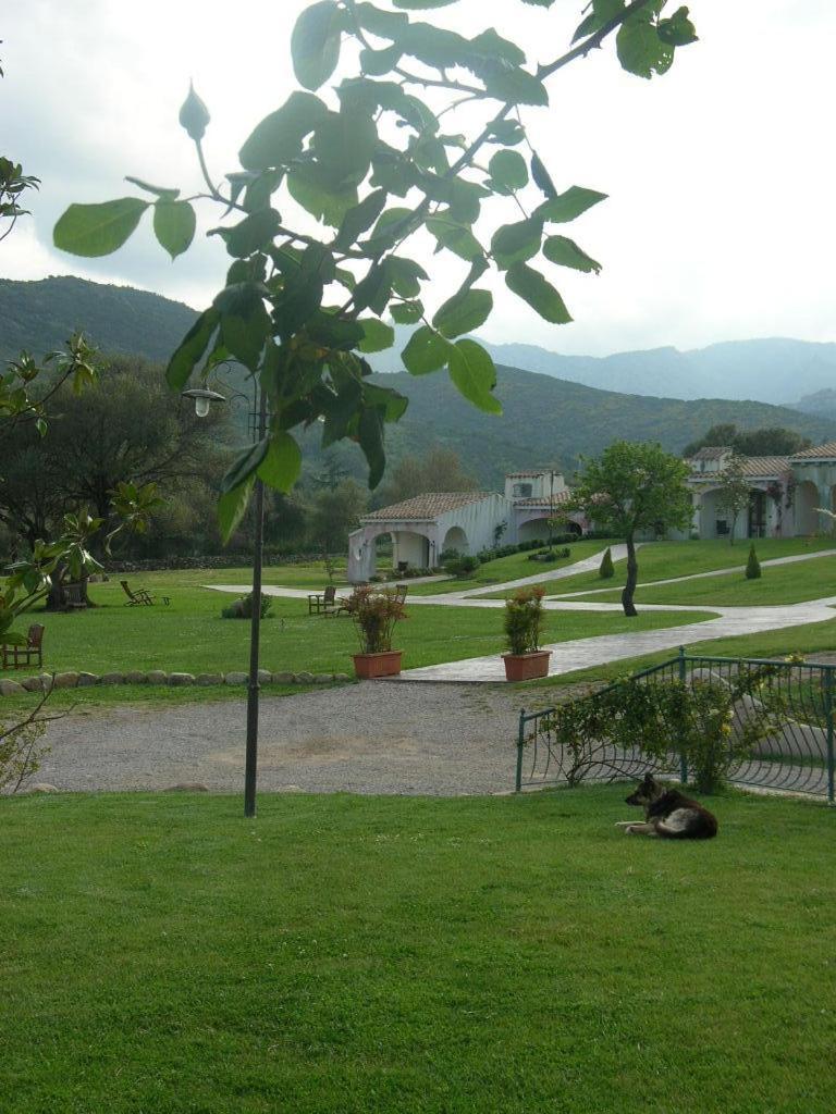 Tenuta Le Terre 1927 Hostal San Teodoro  Exterior foto