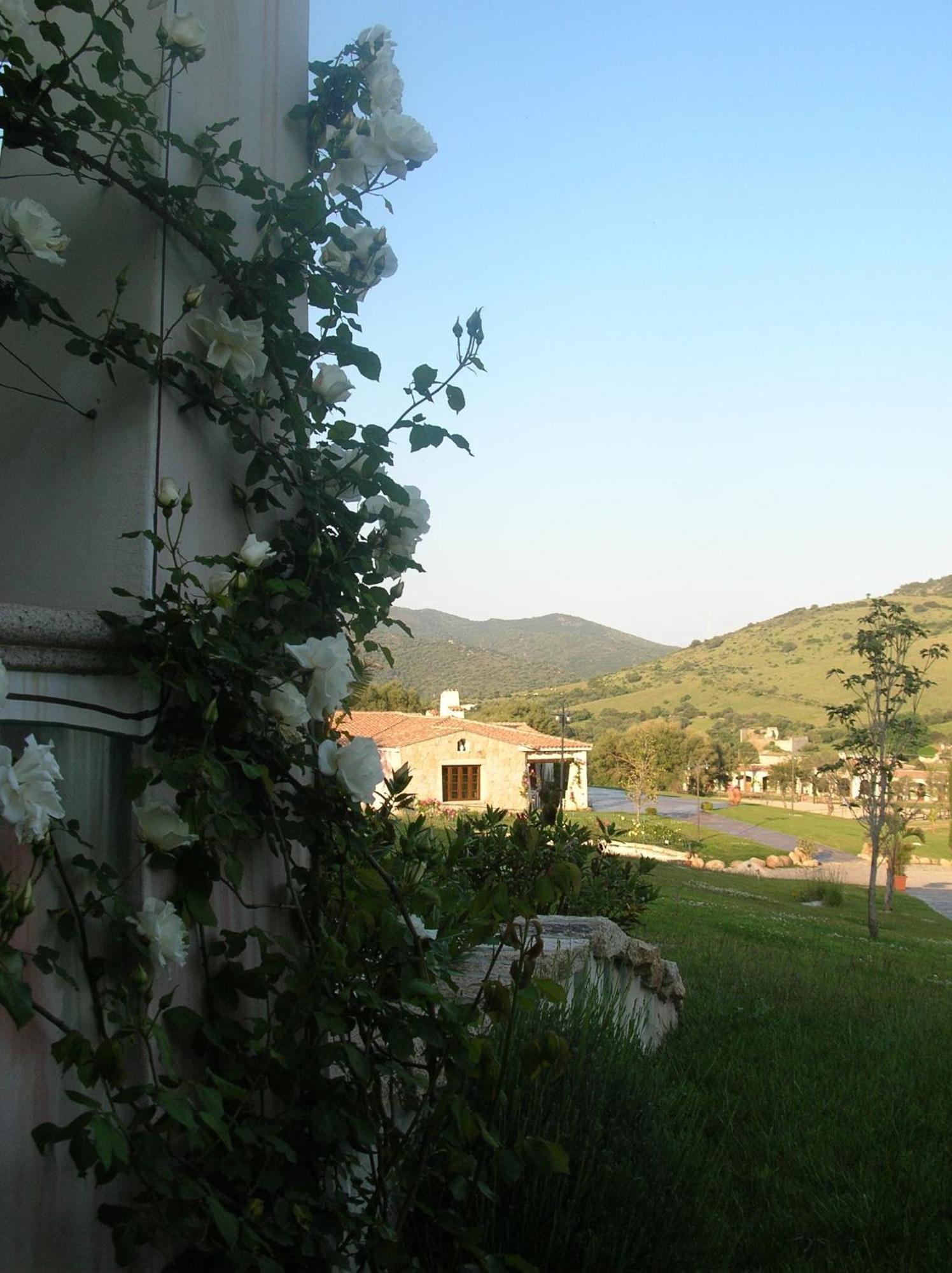 Tenuta Le Terre 1927 Hostal San Teodoro  Exterior foto